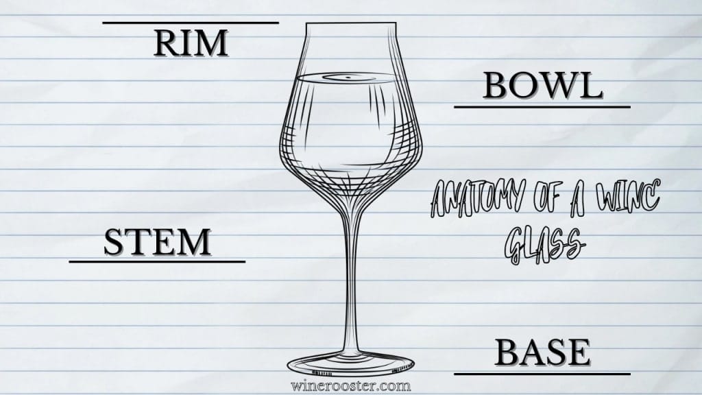 parts of a wine glass explained
