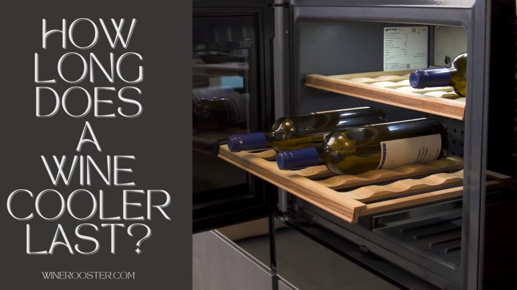 opened wine cooler with 3 bottles