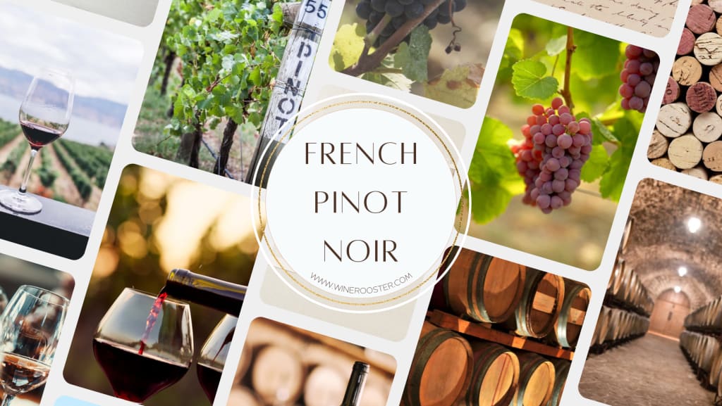 cover photo about Pinot Noir from France
