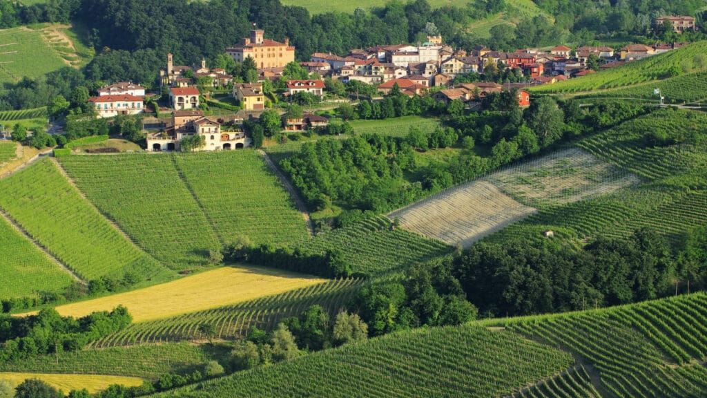 vineyards