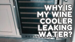 Why Is My Wine Fridge Leaking Water? 5 Causes and Solutions