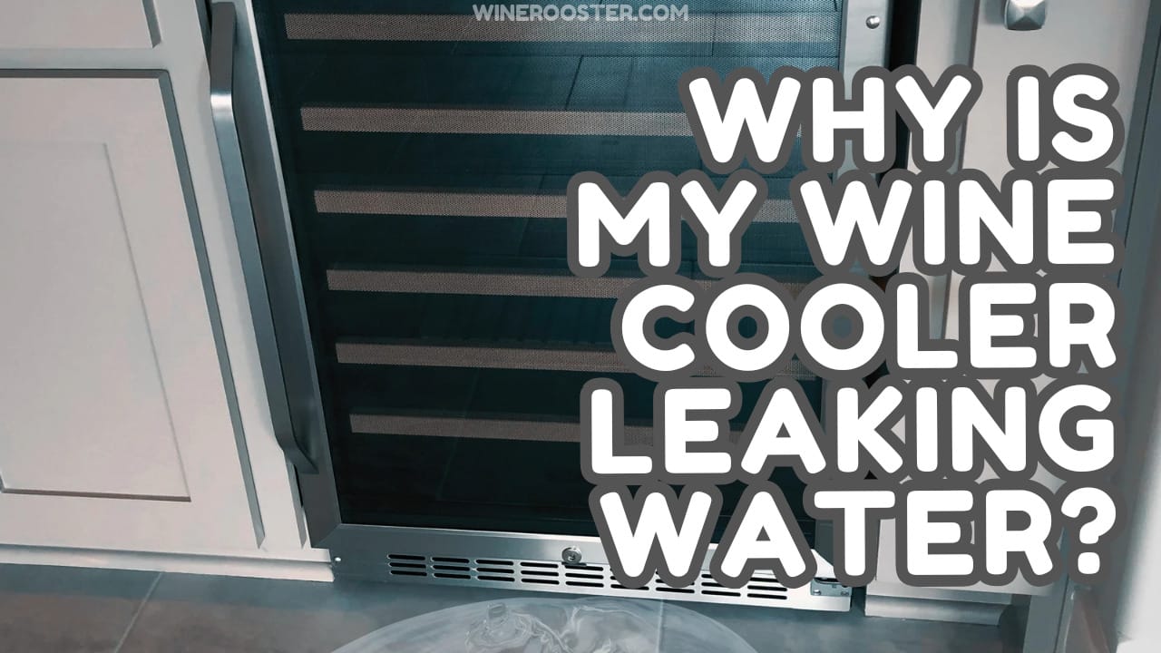 Why Is My Wine Fridge Leaking Water? 5 Causes and Solutions