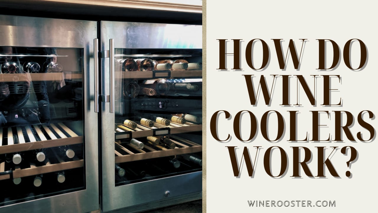 How Do Wine Coolers Work and How to Use Them Properly