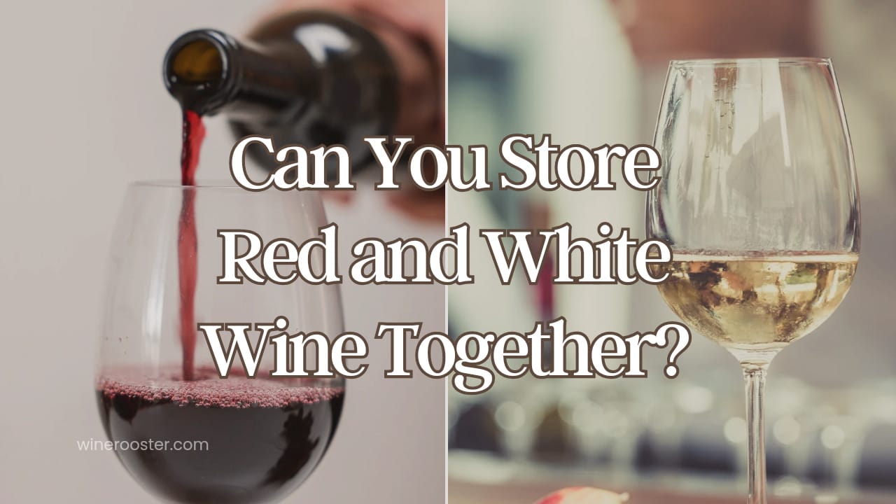 Can You Store Red and White Wines Together? Here's Why